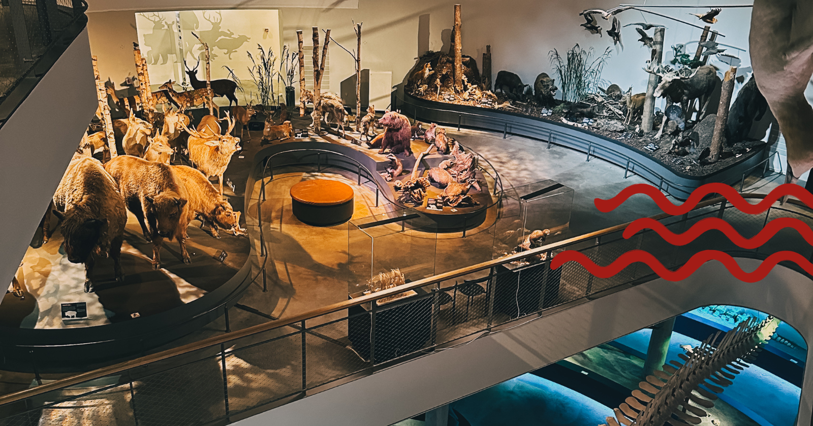 Naturama, Svendborg, Sommer ved Sundet