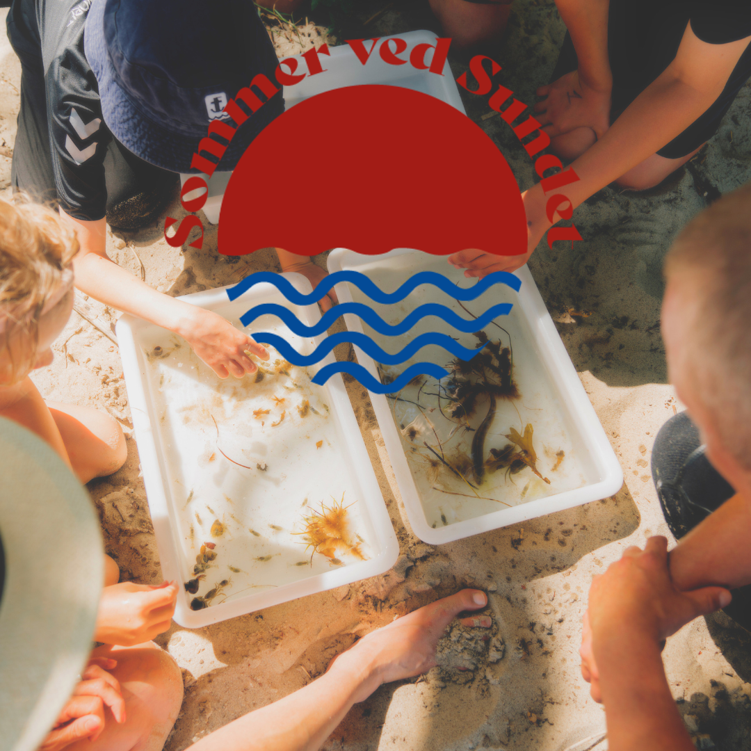 Sommer ved Sundet, Svendborgsund, Svendborg