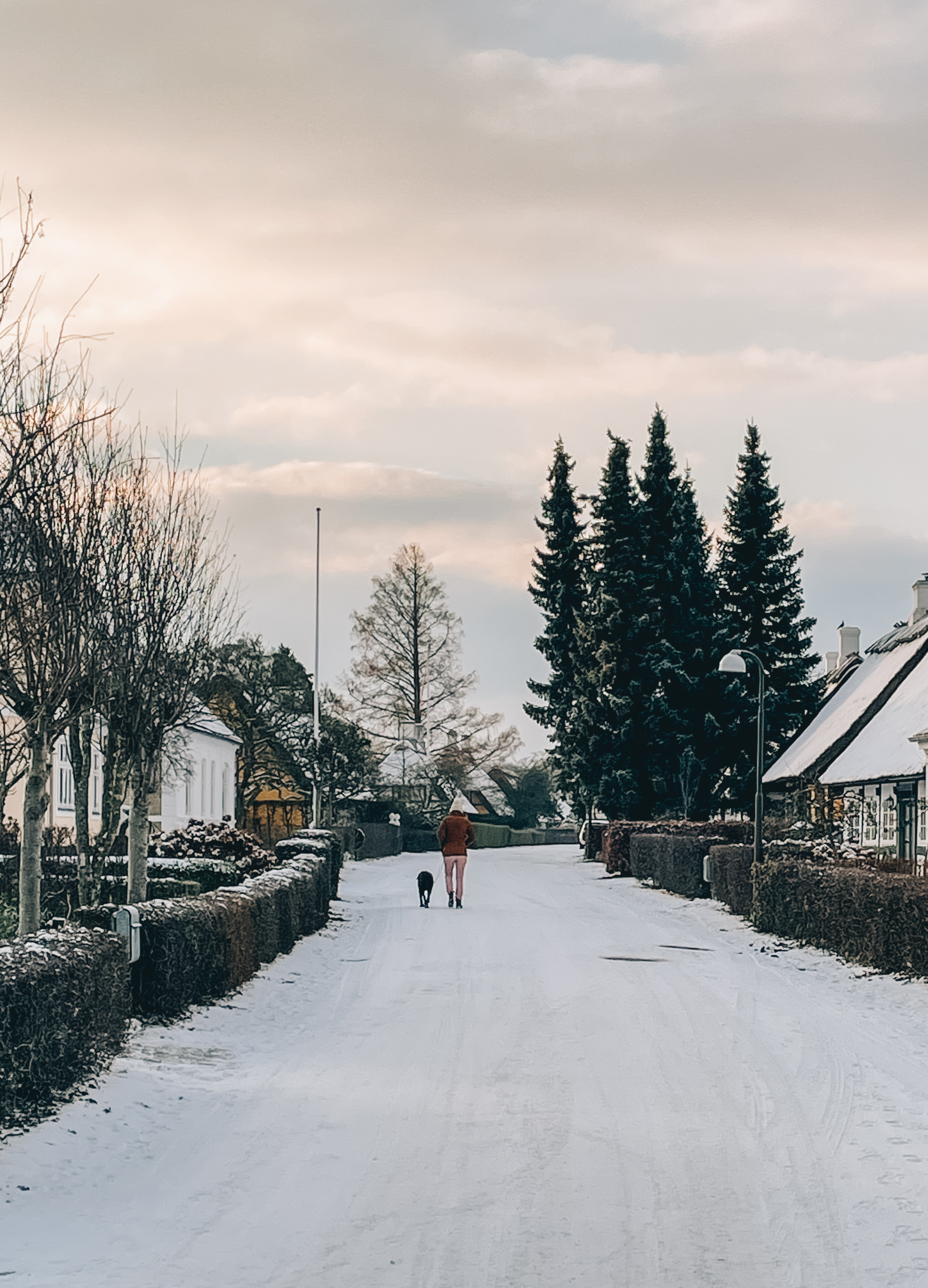 sne, vinter troense, svendborg